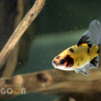 20160202 ブログ写真2