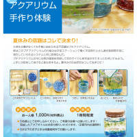プチアクアリウムチラシ